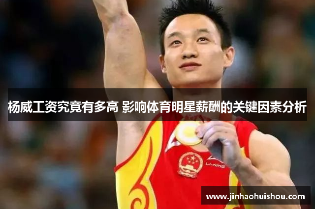 杨威工资究竟有多高 影响体育明星薪酬的关键因素分析